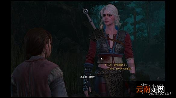 《巫师3：狂猎》配置低正确有效优化方法解析攻略