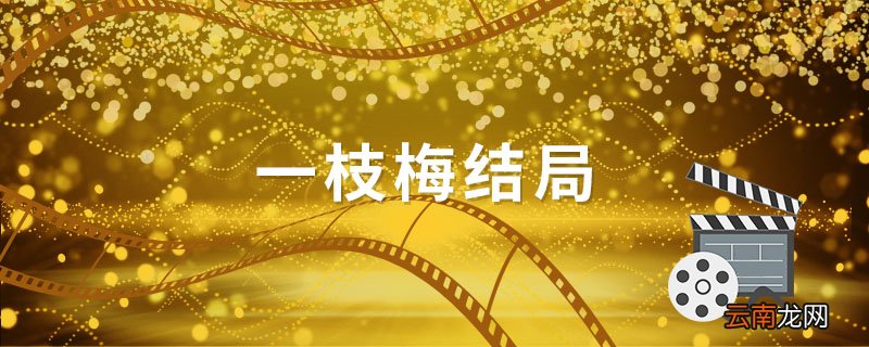一枝梅结局 一枝梅是什么电视