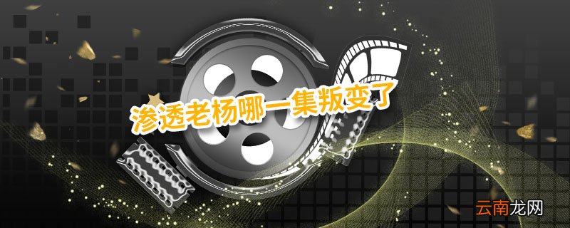 渗透老杨哪一集叛变了 渗透老杨结局