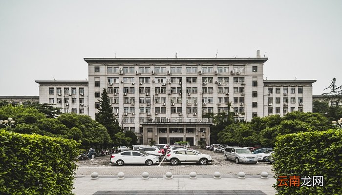 重庆七龙珠学校有哪些 重庆七龙珠学校分别有哪些