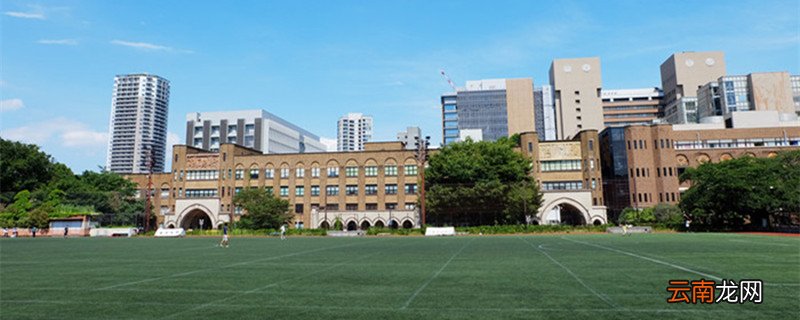 重庆七龙珠学校有哪些 重庆七龙珠学校分别有哪些