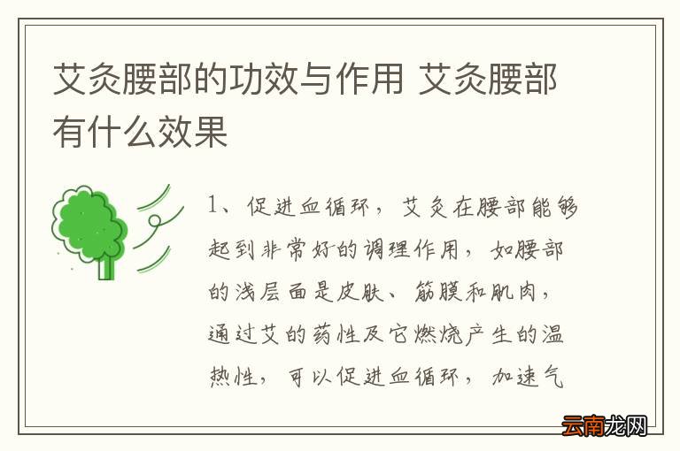 艾灸腰部的功效与作用 艾灸腰部有什么效果