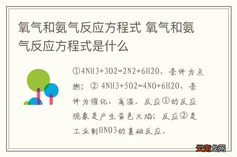 氧气和氨气反应方程式 氧气和氨气反应方程式是什么