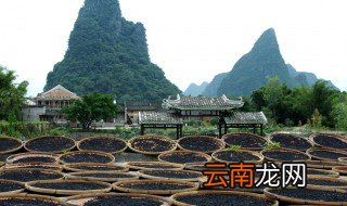 冬天豆豉发酵多少天 豆豉的发酵时间要多久