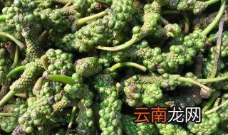 芦子怎么烧 芦子怎么做好吃
