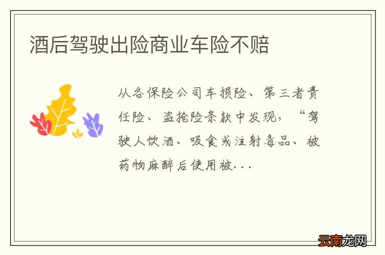酒后驾驶出险商业车险不赔