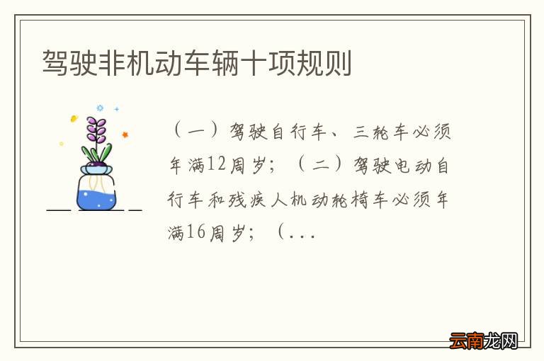 驾驶非机动车辆十项规则