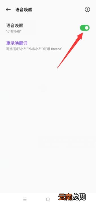 oppo小布怎么设置