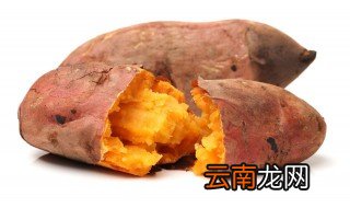 煮熟的地瓜可以冻冰箱里吗? 煮熟的地瓜能放冰箱吗