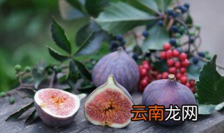 无花果能放冰箱保鲜吗 无花果能否放冰箱保鲜