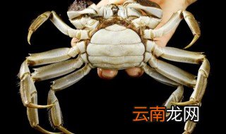 活螃蟹可以放冰箱冷冻保存吗 活螃蟹能放冰箱冷冻吗