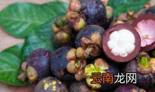 山竹需要放冰箱吗,山竹是否需要放冰箱