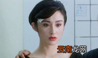 演员张敏简历 张敏个人资料