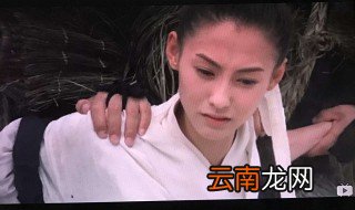河东狮吼张柏芝大结局 看过了吗