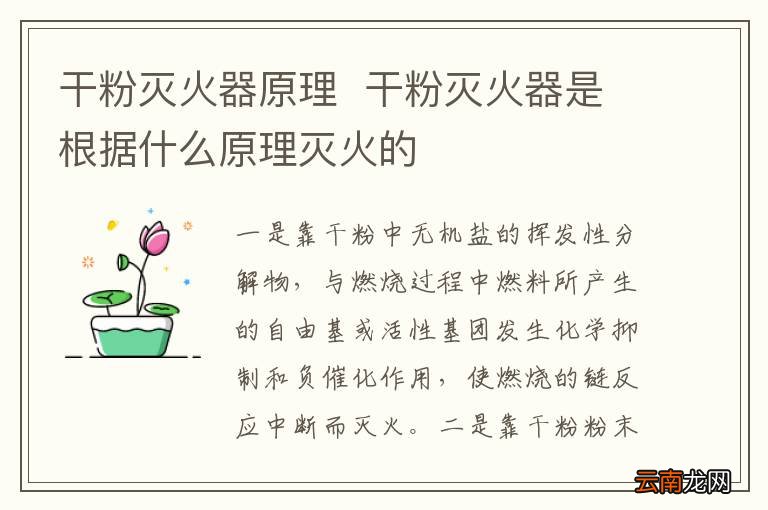 干粉灭火器原理干粉灭火器是根据什么原理灭火的