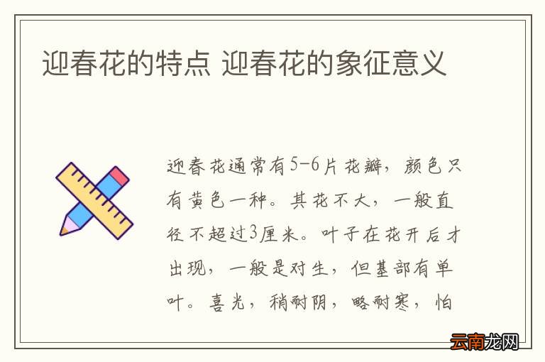 迎春花的特点 迎春花的象征意义