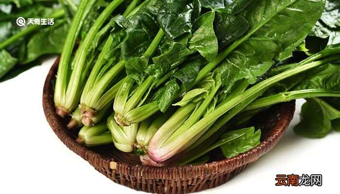 菠菜不能和什么一起吃 菠菜不易与什么同食