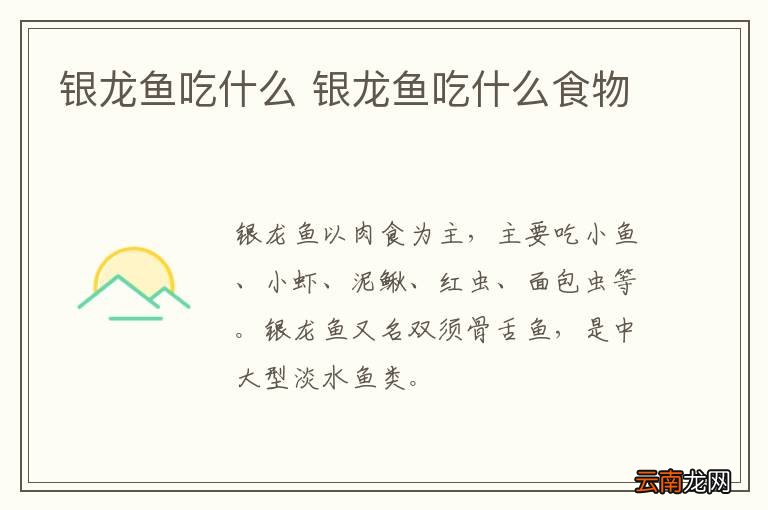 银龙鱼吃什么 银龙鱼吃什么食物
