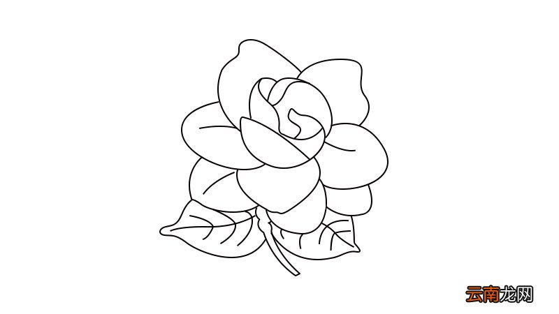 栀子花简笔画教程栀子花简笔画怎么画