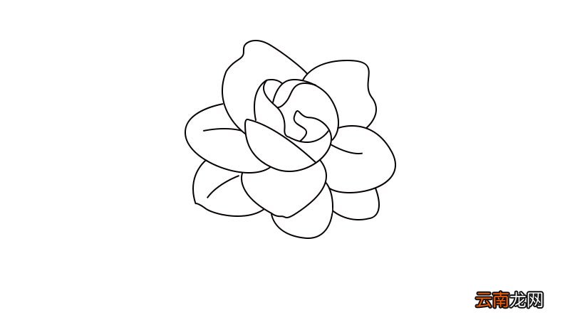 栀子花简笔画教程栀子花简笔画怎么画