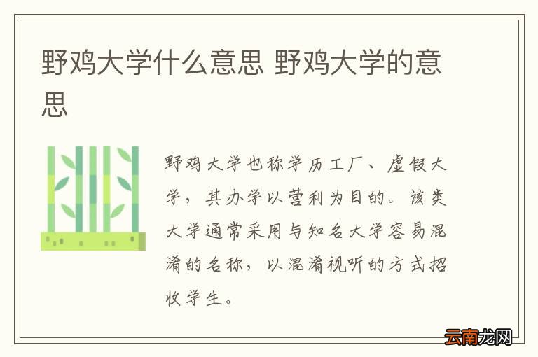 野鸡大学什么意思 野鸡大学的意思