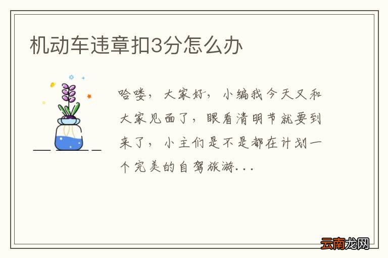 机动车违章扣3分怎么办