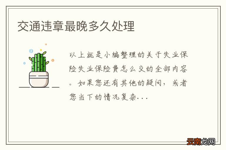 交通违章最晚多久处理