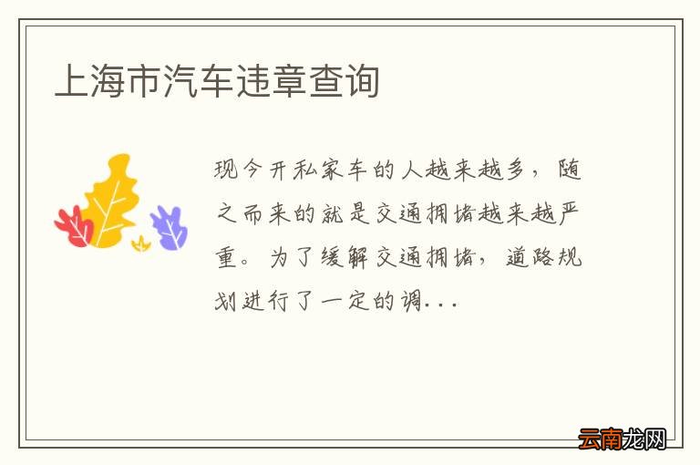 上海市汽车违章查询