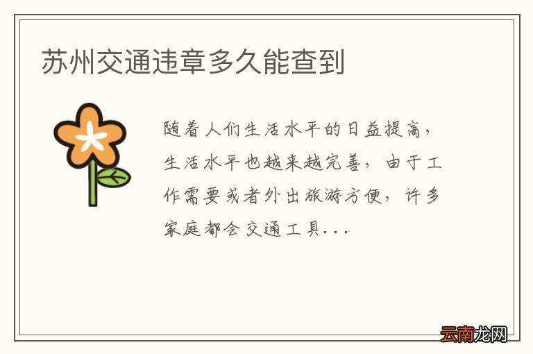 苏州交通违章多久能查到