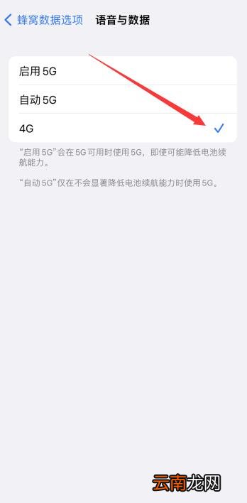 iPhone关闭5g开关