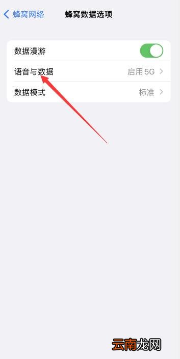 iPhone关闭5g开关