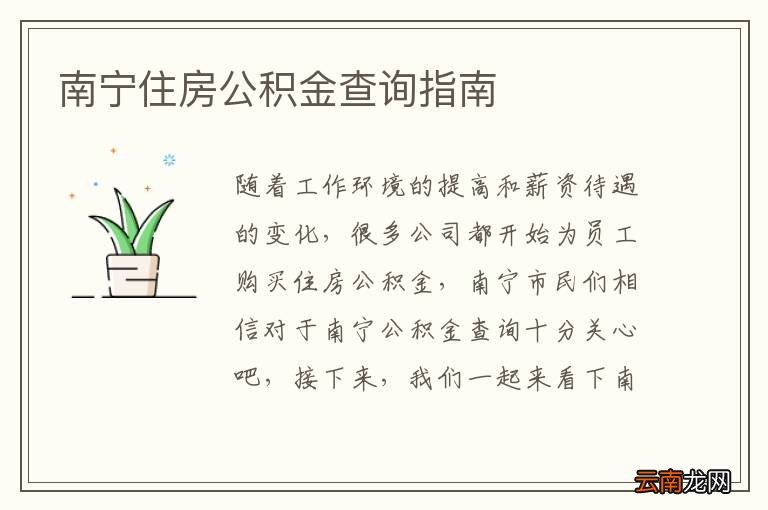 南宁住房公积金查询指南