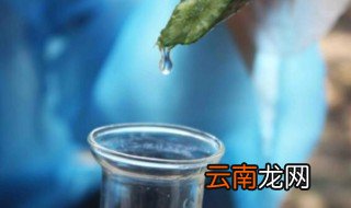 提纯水要煮几分钟熟 水一般几分钟煮熟