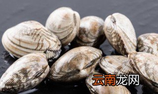 煮熟花甲可以放冰箱冷藏吗 煮过的花甲能放冰箱吗