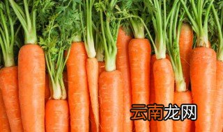 胡萝卜怎么存放 胡萝卜泥放冰箱保存吗
