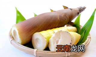 挖笋子怎么晒干 刚挖的笋子怎么保鲜