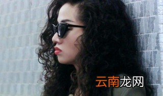 梅艳芳简介 梅艳芳介绍