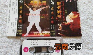 歌手刘鸿个人资料 代表作的介绍