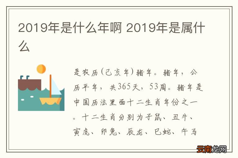 2019年是什么年啊 2019年是属什么