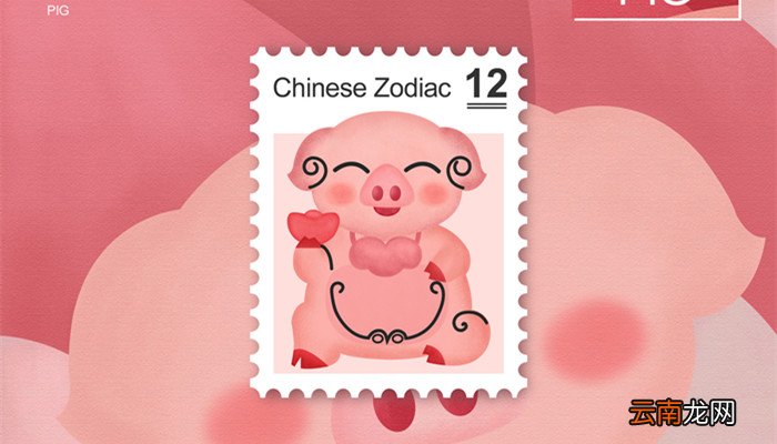 2019年是什么年啊 2019年是属什么