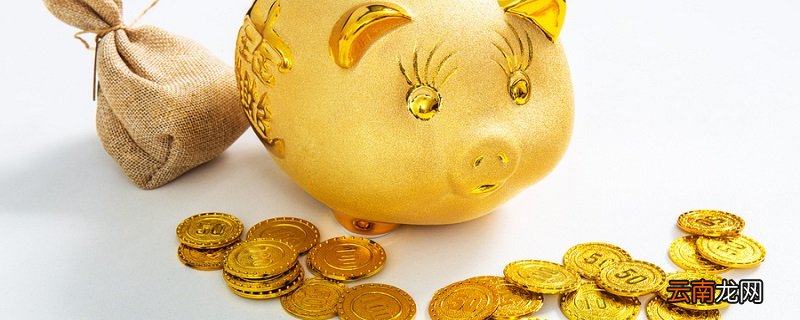 2019年是什么年啊 2019年是属什么