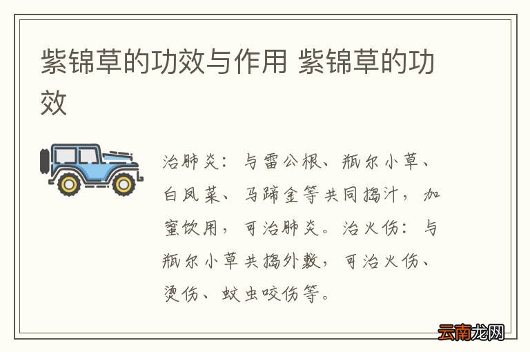 紫锦草的功效与作用 紫锦草的功效