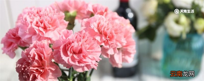 教师节送老师什么礼物好 教师节可以送什么礼物