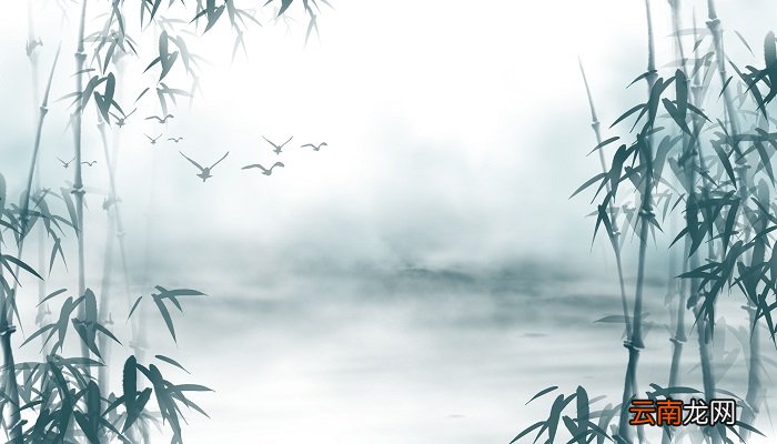 竹子的所有雅称竹子的所有雅称有什么