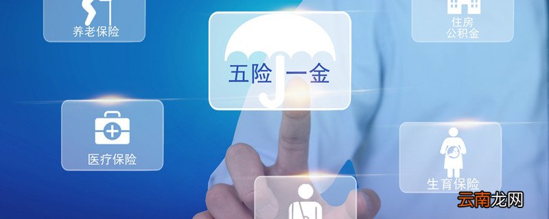 办五险需要什么资料 办五险需要哪些资料