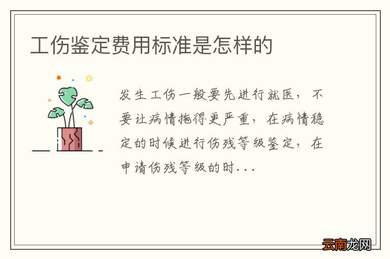 工伤鉴定费用标准是怎样的