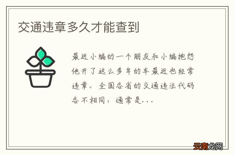 交通违章多久才能查到