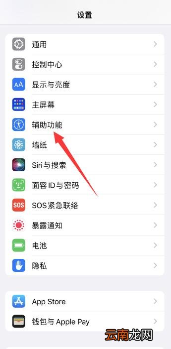 iPhone备忘录怎么在字上涂色