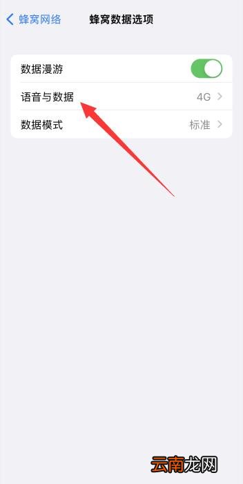 iPhone13网络怎么设置
