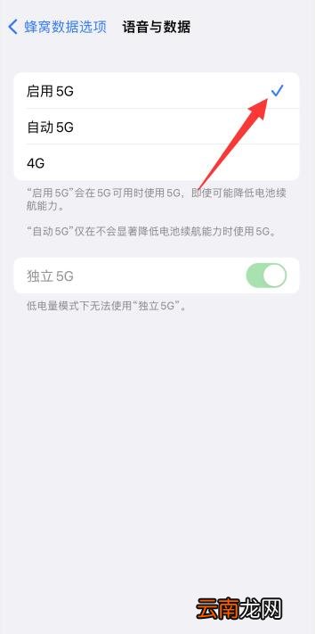 iPhone13网络怎么设置